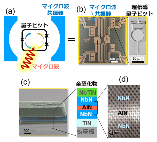 マイクロ波共振器と量子ビットの概念図、窒化物超伝導量子ビット回路写真