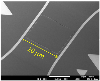 超伝導ワイドストリップ光子検出器写真