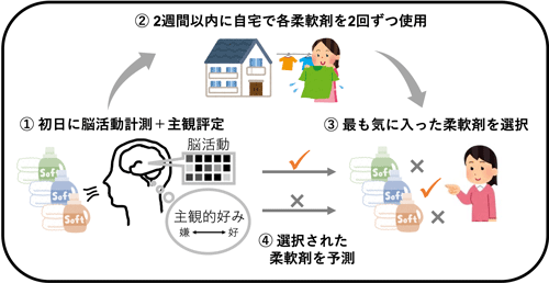 本研究における脳活動を用いた柔軟剤選択予測の実験手順