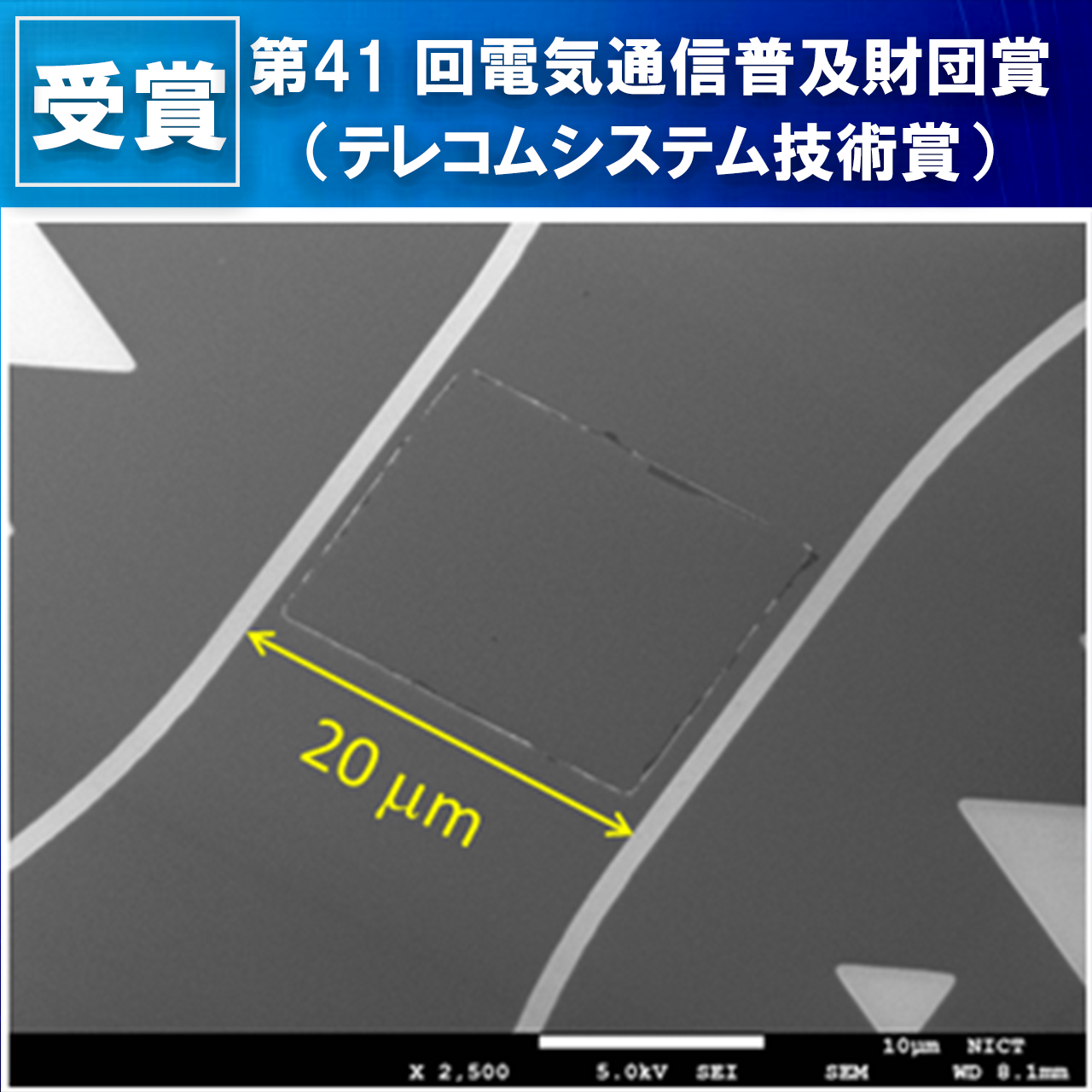超伝導ワイドストリップ光子検出器（電子顕微鏡の写真）