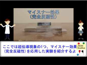 展示の様子