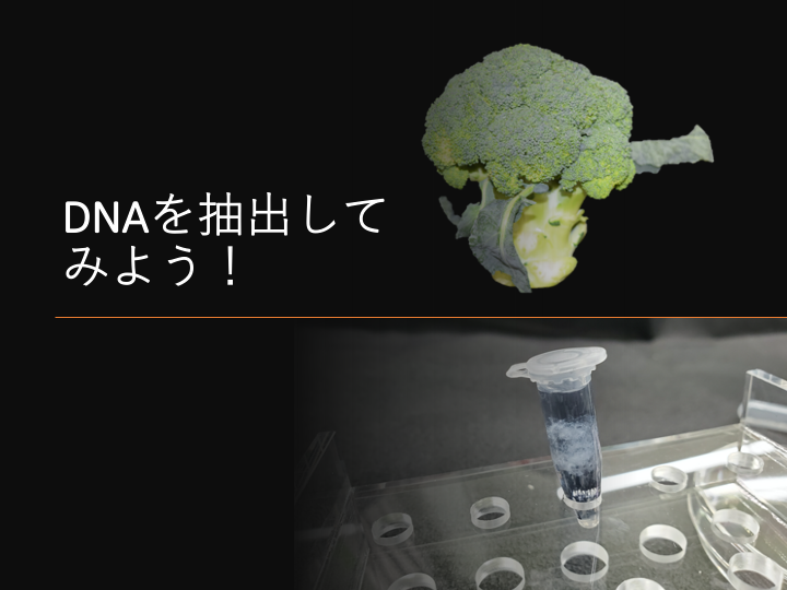 バイオICT研究室 生物情報プロジェクトの展示イメージ