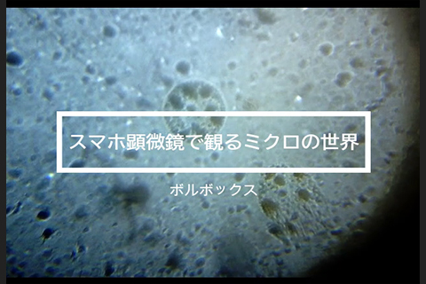 バイオICT研究室 生体物性プロジェクトの展示イメージ