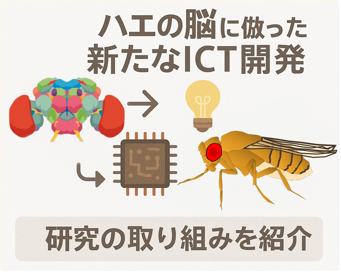 ニューロICT研究室 行動神経生物学プロジェクトの展示イメージ