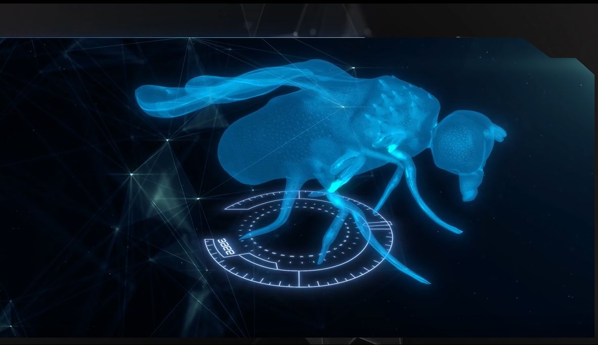 ニューロICT研究室 記憶神経生物学プロジェクトの展示イメージ