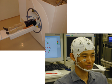 Our team's EEG and fMRI