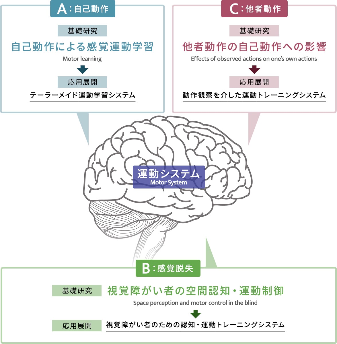 運動システム