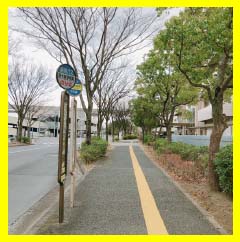 バスが通過してきた方向（東）に向かって進みます。