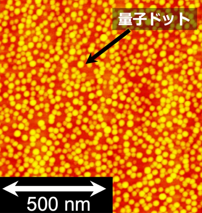 量子ドット表面の観察像