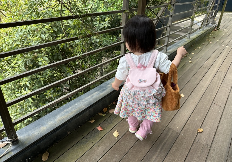 NICT 研究職 木原 亜美