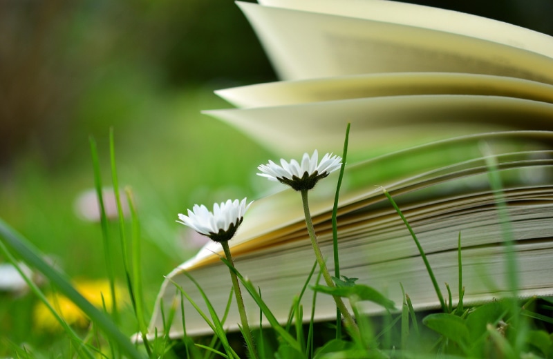 NICT 研究職 牛腸 正則