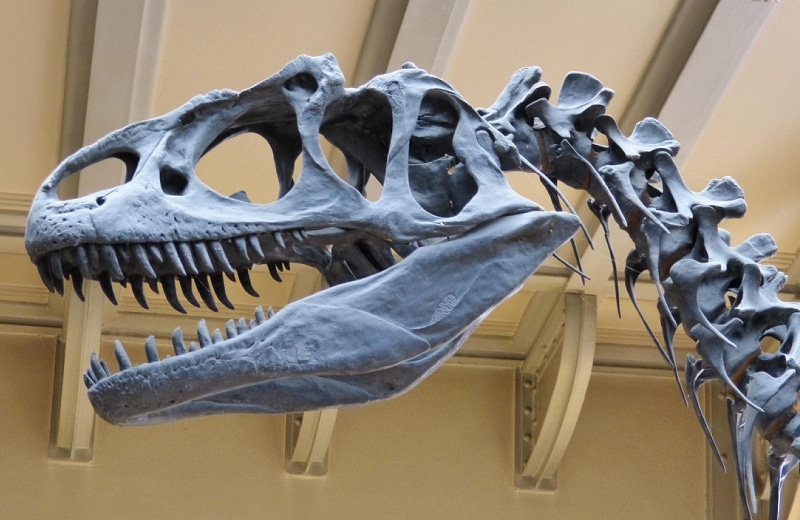 NICT 研究職 林 正道