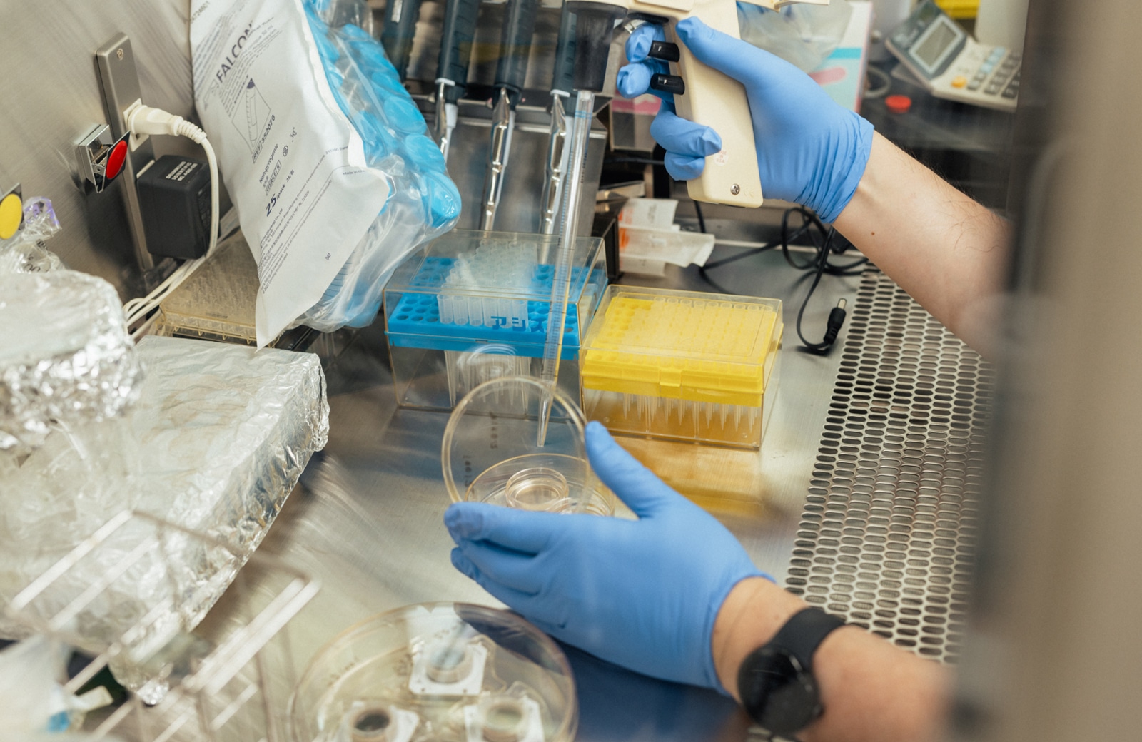 プロジェクトと私