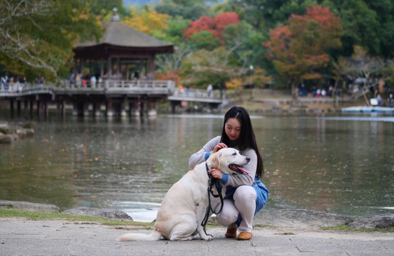 NICT 研究職 劉 珠允