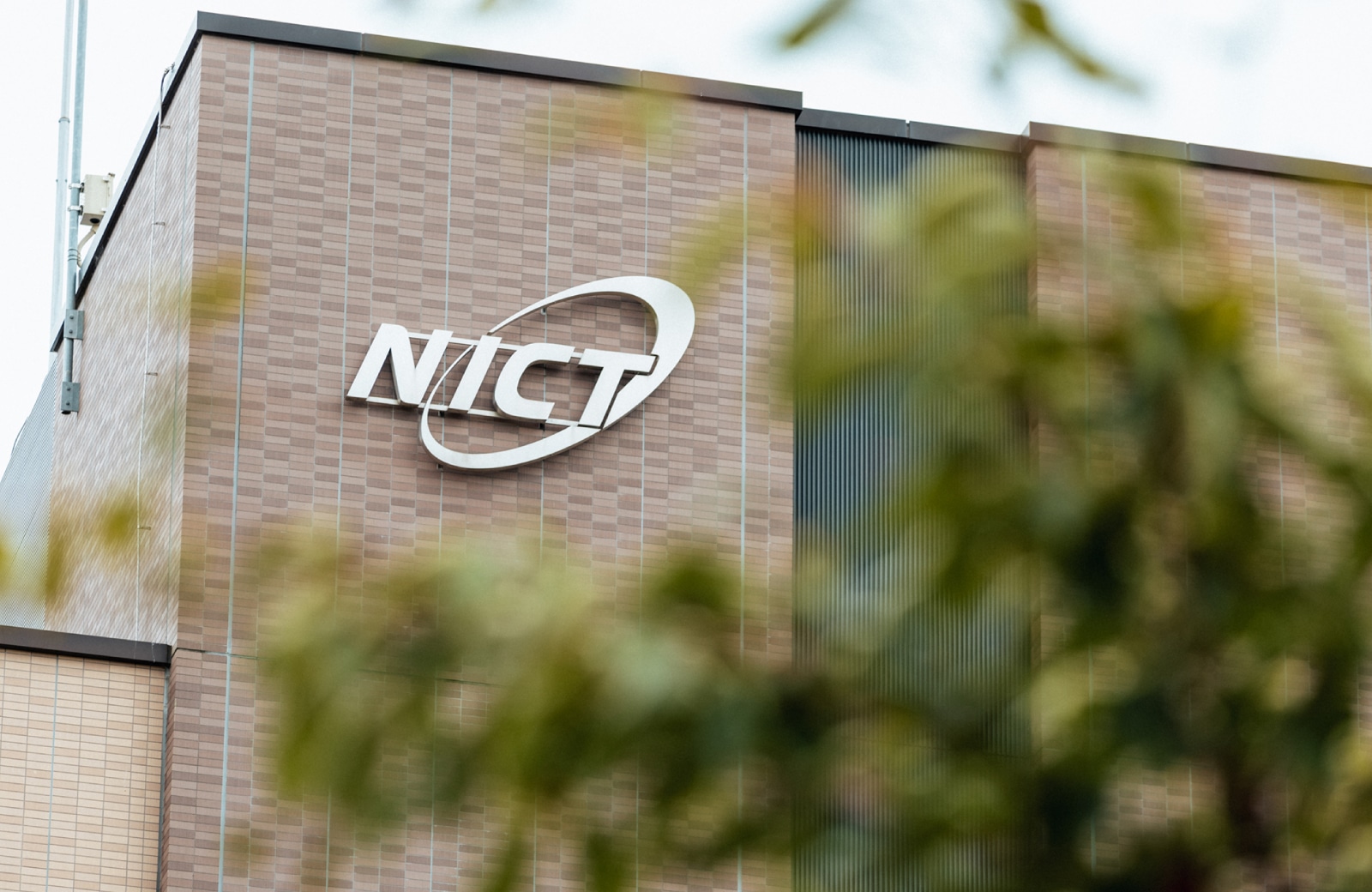 プロジェクトと私