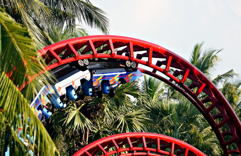 NICT 総合職 大信 友紀恵