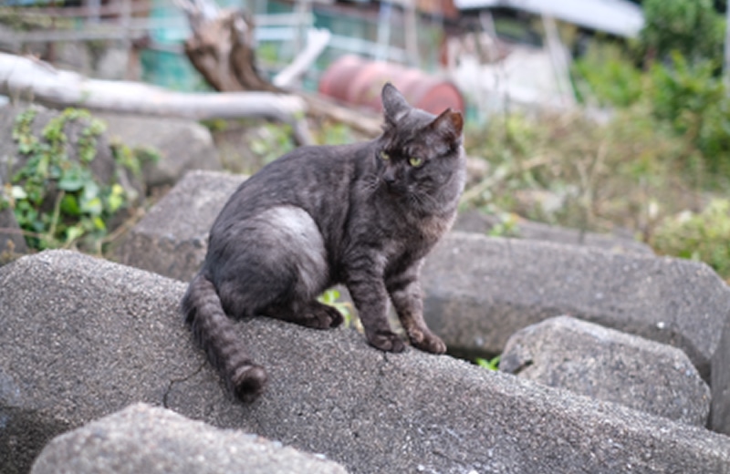 NICT 総合職 長尾 亮祐