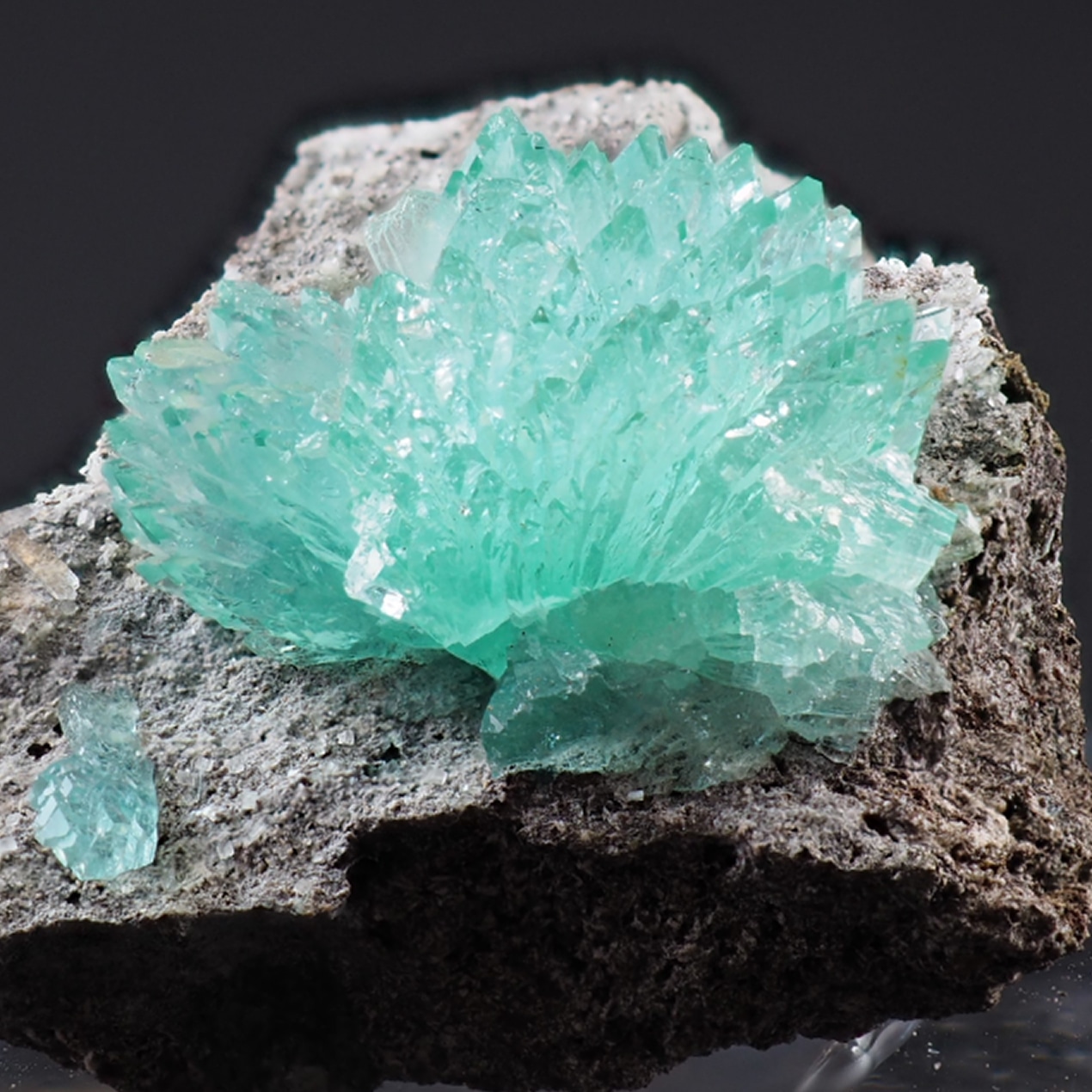 NICT 総合職 高木 瞳