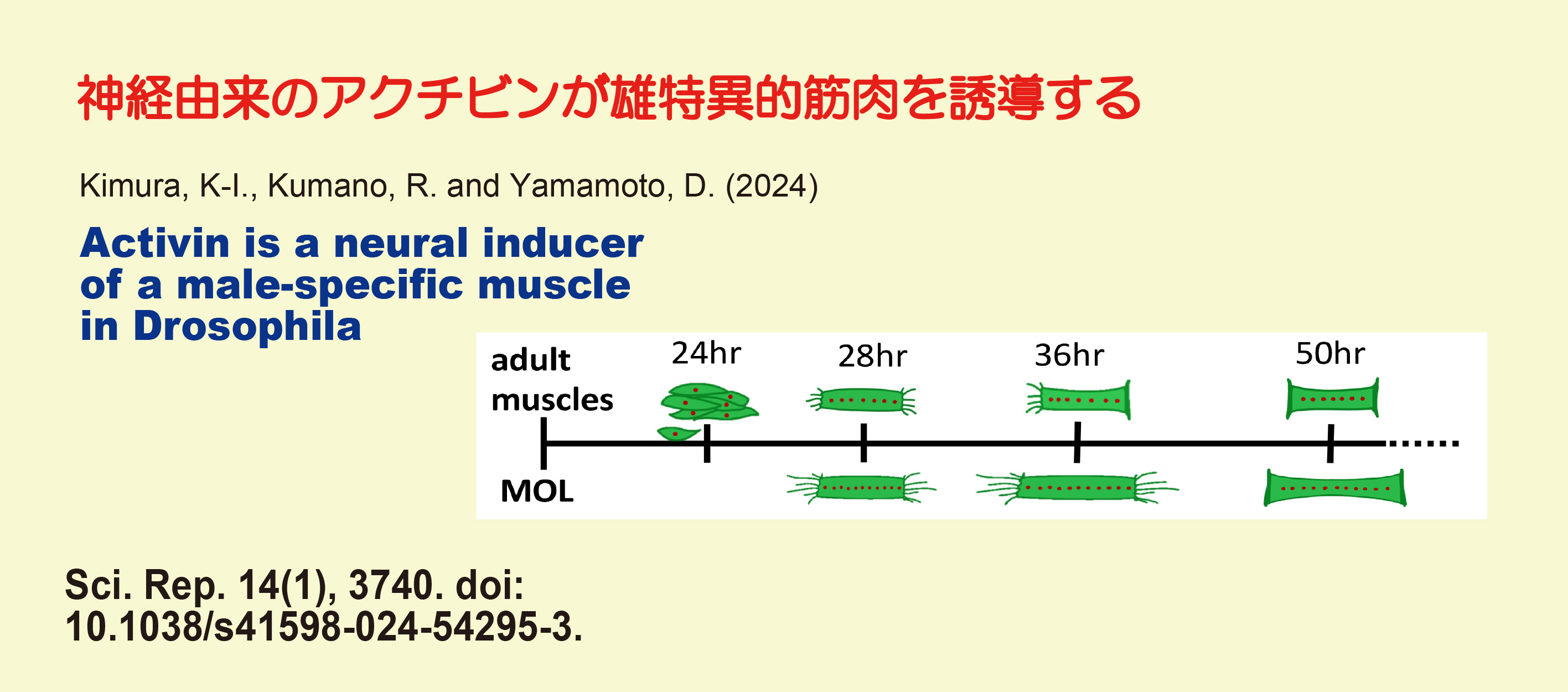 240214_SciRep"
