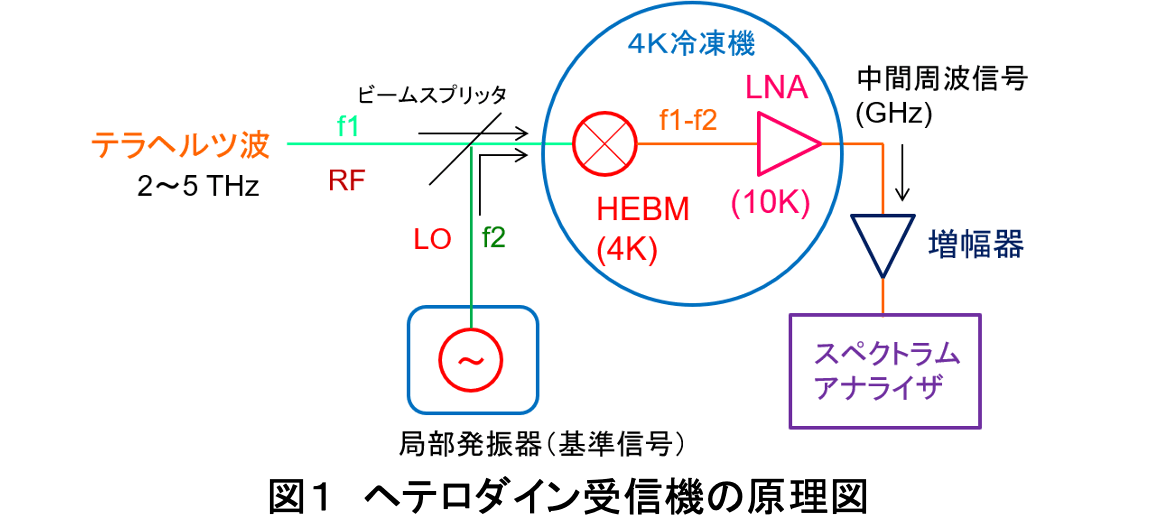 テラヘルツ超振球 - その他ダイエット、健康