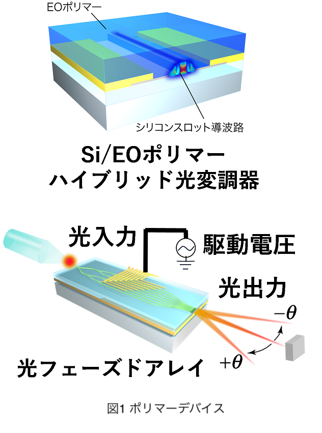 図1 EOポリマーデバイス