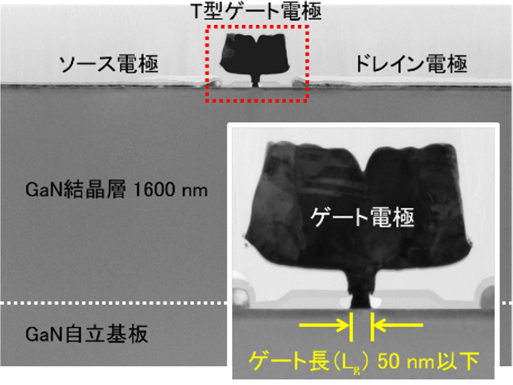 窒化ガリウム自立基板の上に、厚さ1600ナノメートルの窒化ガリウム結晶層があり、その上に左から順に、ソース電極、T型ゲート電極、ドレイン電極が並ぶ。ゲート電極の拡大写真にて、電極下部のゲート長が50ナノメートル以下であることが確認できる
