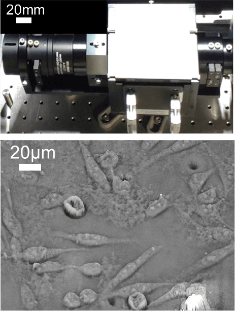 実際の撮影画像。ユニットは全長300mm、50mm径程度のレンズ等で構成。測定結果画像は細胞群がクリアに撮影されている